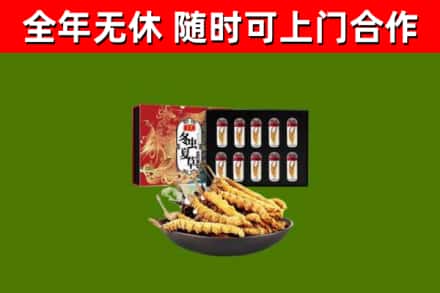 和平区回收冬虫夏草价格