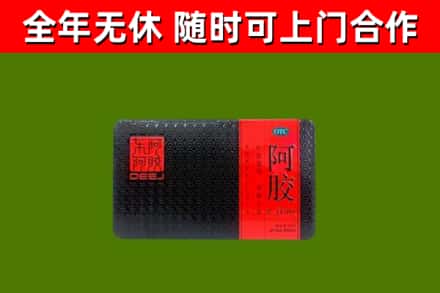 和平区回收阿胶
